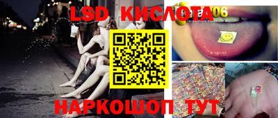 СК Абакан