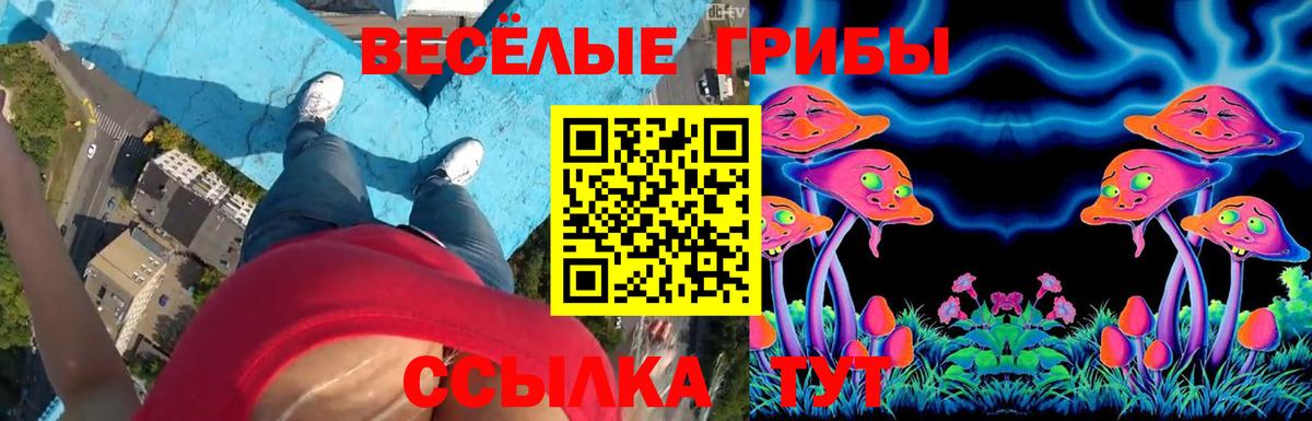 Псилоцибиновые грибы Psilocybe  Псилоцибиновые грибы мухоморы  где купить наркоту  Вход с VPN  Ангарск 